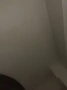 TinyBlazian901 webcam