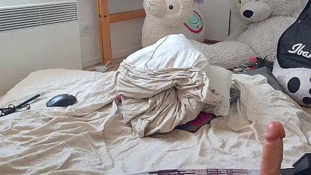 CeriseLapine webcam