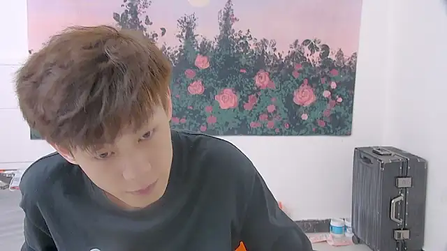 paofu-001 webcam