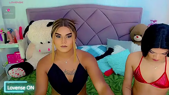 party_duo_trans webcam