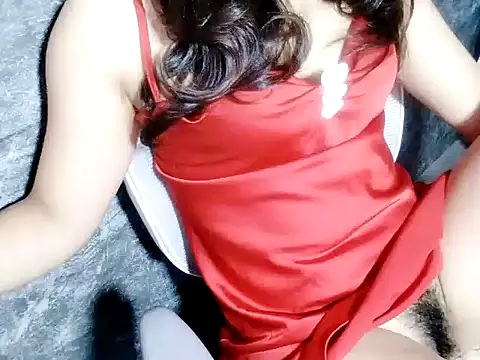 Ri-Rinx webcam