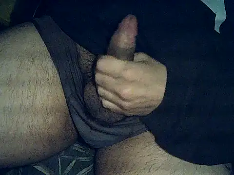 gatocamsp