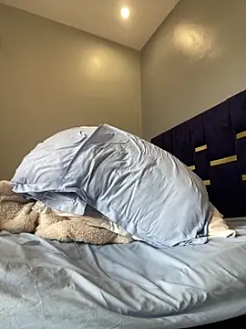 Sis27 webcam