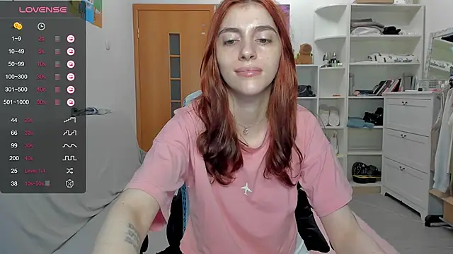 broosnica1 webcam