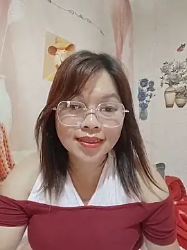 Cover-baa webcam