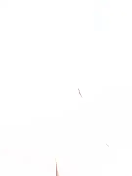HugeTitisxx webcam