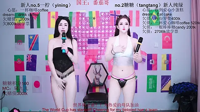 CCTW-100 webcam
