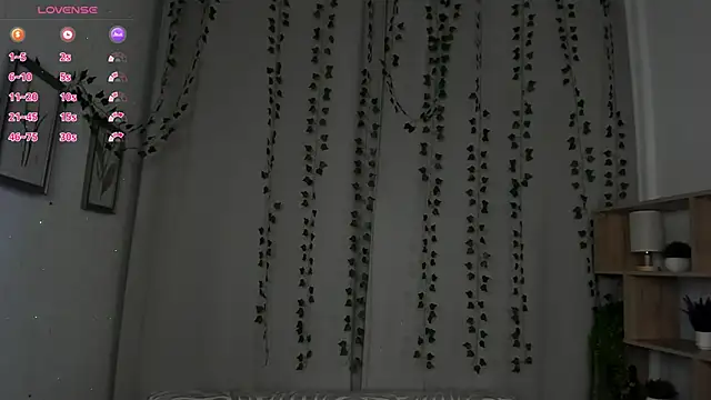 TariLechliter webcam