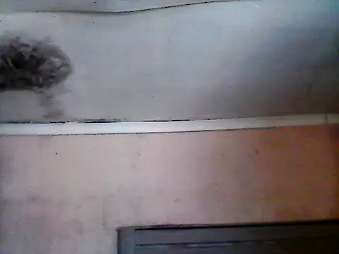 Sugashow0 webcam