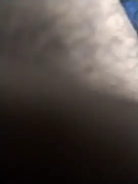 jellydicks webcam