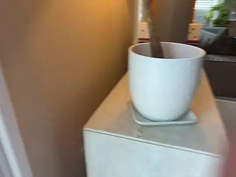 bigdick20101 webcam