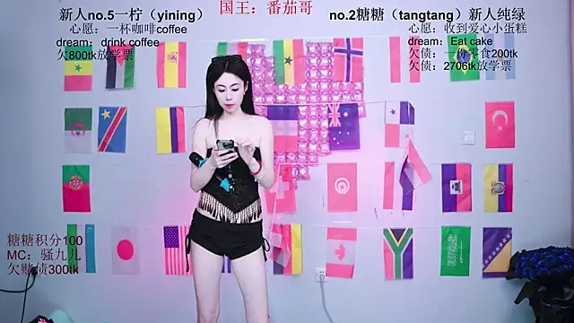 CCTW-100 webcam