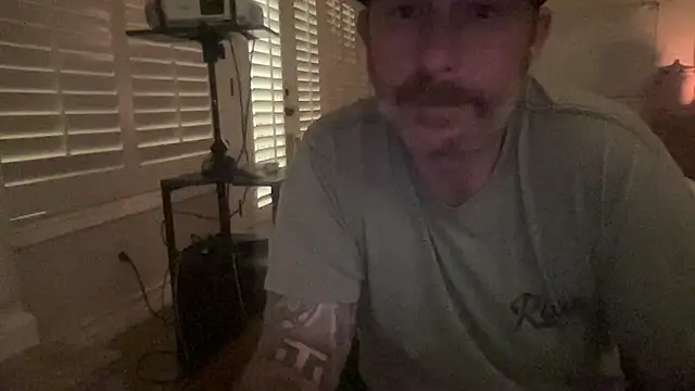 owliecat webcam