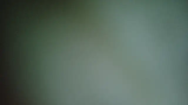 emmaexplores