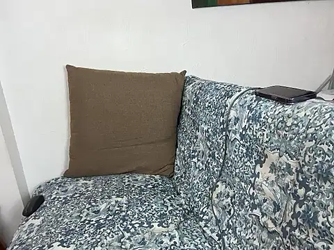 velvetvista webcam