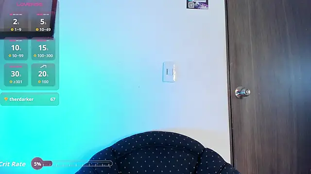 Ryan_evannss_ webcam