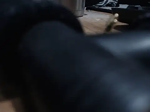 lindsaytrans webcam