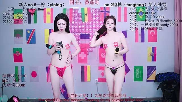 CCTW-100 webcam