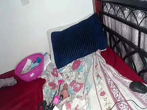 Whimsicalwillow webcam