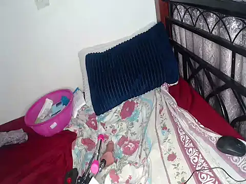 Whimsicalwillow webcam