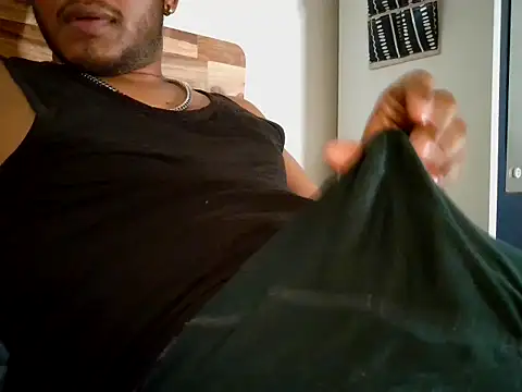 Professor_Pie webcam