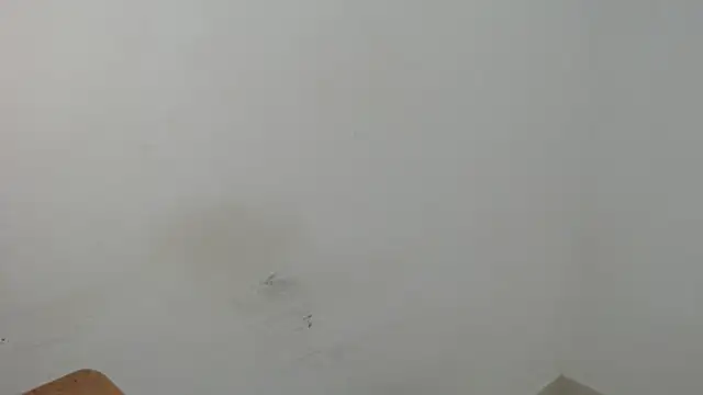 estefania224 live cam