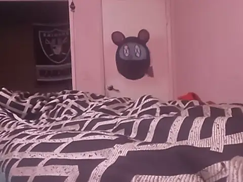 Blkstylion webcam