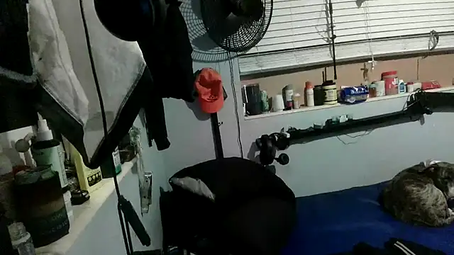 PornStro921 live cam