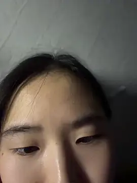 heting5209 webcam