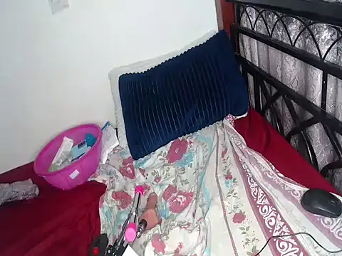 Whimsicalwillow webcam