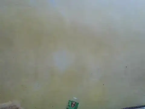 ThickAnjeline webcam