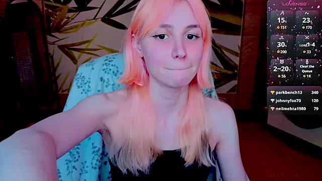 fleximona webcam