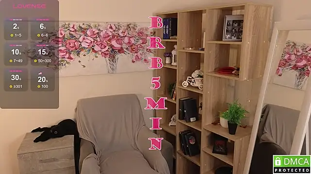 Sue_Sanders webcam