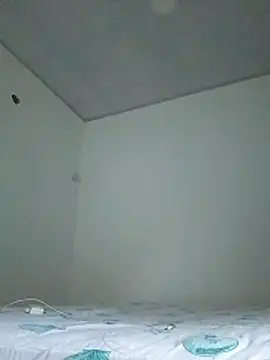 13elvergon webcam