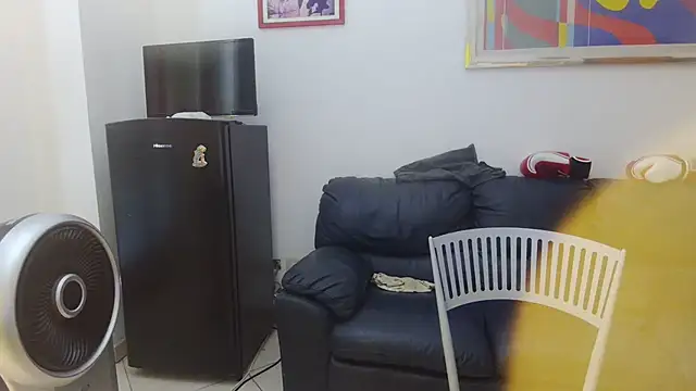 AMIRDIB2025 webcam