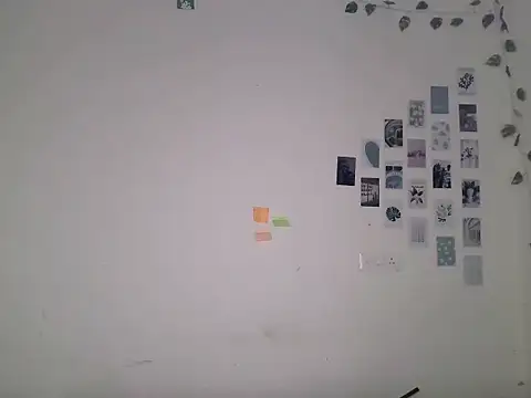 priyanks_sharma37 webcam