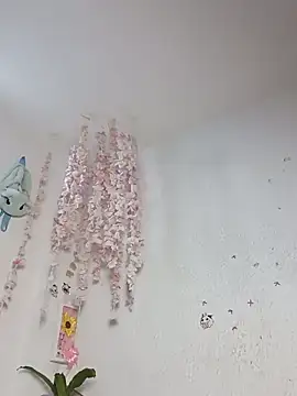 Kuutar live cam