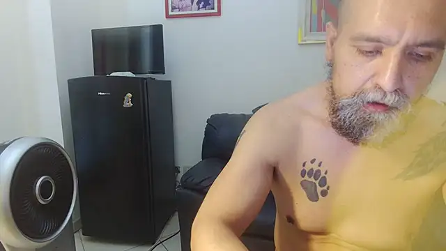 AMIRDIB2025 live cam