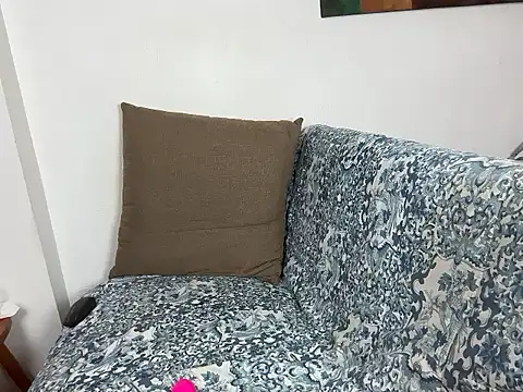 velvetvista webcam