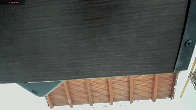 Sara_Hanks webcam
