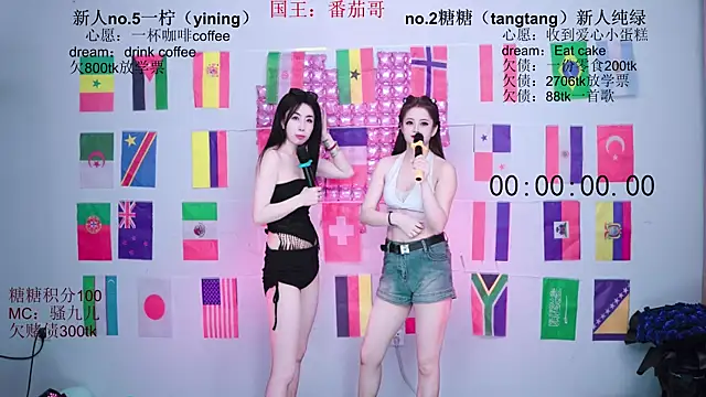 CCTW-100 webcam