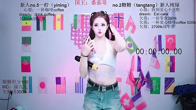 CCTW-100 webcam