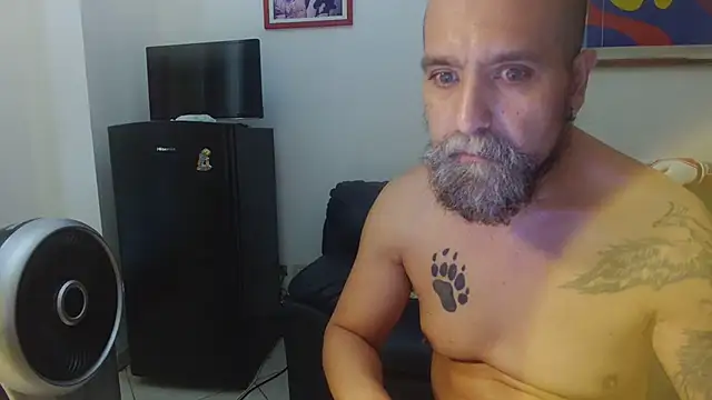 AMIRDIB2025 webcam