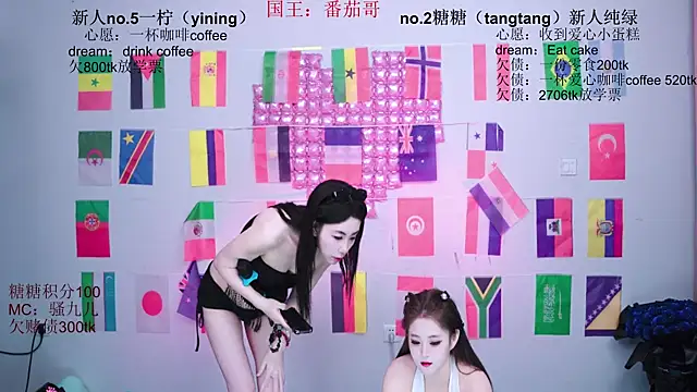 CCTW-100 webcam