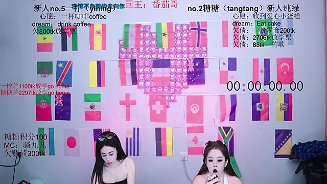 CCTW-100 webcam