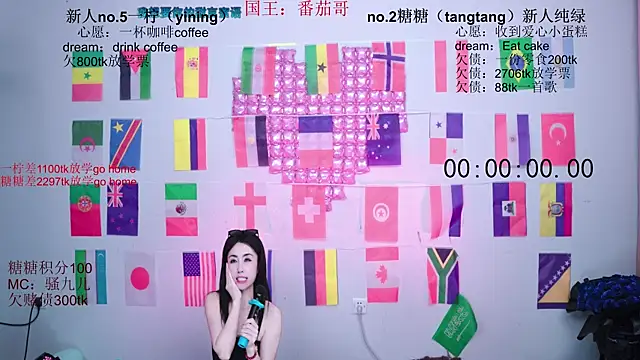 CCTW-100 webcam