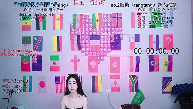 CCTW-100 webcam