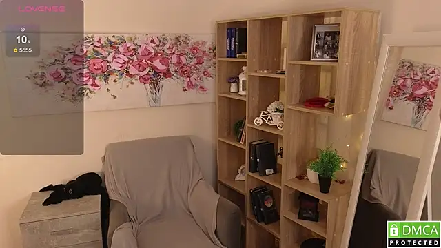Sue_Sanders webcam