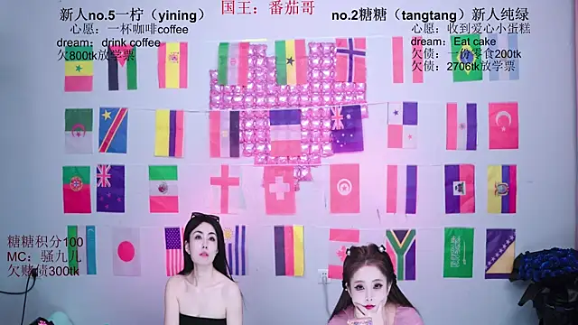 CCTW-100 webcam