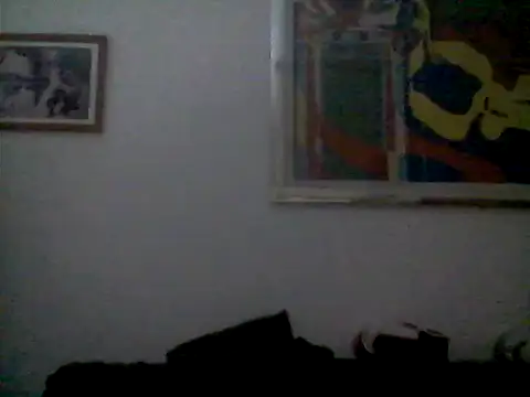 AMIRDIB2025 webcam